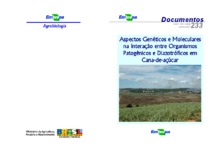 Thumbnail de Aspectos genéticos e moleculares na interação entre organismos patogênicos e diazotróficos em cana-de-açúcar.