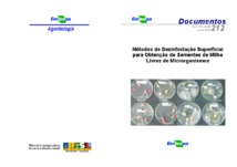 Thumbnail de Métodos de desinfestação superficial para obtenção de sementes de milho livres de microrganismos.