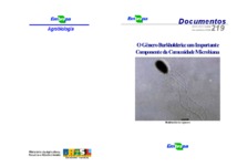 Thumbnail de O gênero Burkholderia: um importante componente da comunidade microbiana.