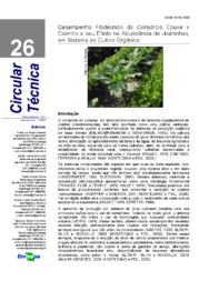 Thumbnail de Desempenho fitotécnico do consórcio couve x coentro e seu efeito na abundância de joaninhas, em sistema de cultivo orgânico.