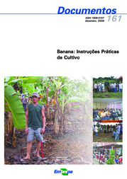 Thumbnail de Banana: instruções práticas de cultivo.