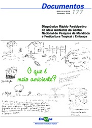 Thumbnail de Diagnóstico rápido participativo do meio ambiente do Centro Nacional de Pesquisa de Mandioca e Fruticultura Tropical-Embrapa.