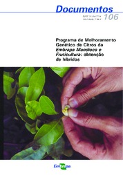 Thumbnail de Programa de melhoramento genético de citros da Embrapa Mandioca e Fruticultura: obtenção de híbridos.
