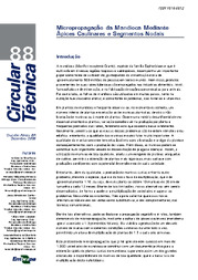 Thumbnail de Micropropagação da mandioca mediante ápices caulinares e segmentos nodais.
