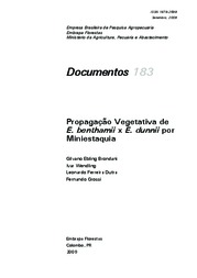 Thumbnail de Propagação vegetativa de E. benthamii x E. dunnii por miniestaquia.