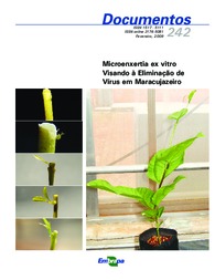 Thumbnail de Microenxertia ex vitro visando à eliminação de vírus em maracujazeiro.