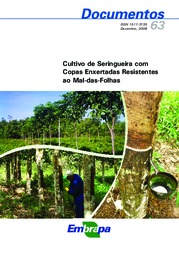 Thumbnail de Cultivo de seringueira com copas enxertadas resistentes ao Mal-das-Folhas.