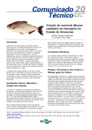 Thumbnail de Criação de matrinxã (Brycon cephalus) em barragens no Estado do Amazonas.
