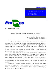 Thumbnail de Virose: Principal doença da melancia em Roraima.