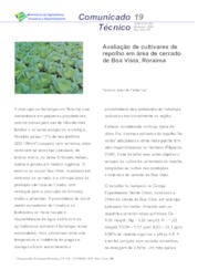 Thumbnail de Avaliação de cultivares de repolho em área de cerrado de Boa Vista, Roraima.