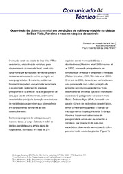 Thumbnail de Ocorrência de Sclerotium rolfsii em condições de cultivo protegido na cidade de Boa Vista, Roraima e recomendações de controle.