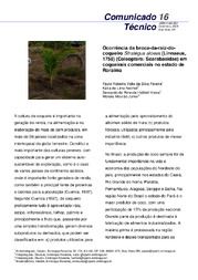 Thumbnail de Ocorrência da broca-da-raiz-do-coqueiro strategus aloeus (linnaeus,1758) (coleoptera: scarabaeidae) em coqueirais comerciais no estado de Roraima.