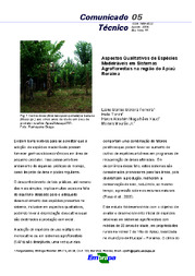 Thumbnail de Aspectos qualitativos de espécies madeiráveis em sistemas agroflorestais na região do Apiaú Roraima.