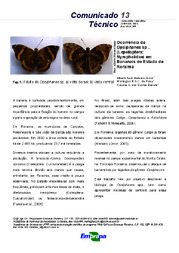 Thumbnail de Ocorrência de Opsiphanes sp. (Lepidoptera: Nymphalidae) em bananais do Estado de Roraima.