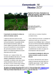 Thumbnail de Tipitamba Roraima: Semeadura na palha da capoeira triturada e o uso de fertilizantes minerais.