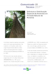 Thumbnail de Estrutura e Distribuição Espacial da Andiroba em Floresta Natural de Roraima.