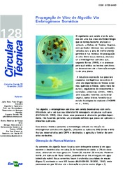 Thumbnail de Propagação in vitro de algodão via embriogênese somática.