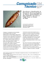 Thumbnail de Ocorrência e identificação de nematóide entomopatogênico do gênero heterorhabditis em solo cultivado com arroz e feijão-caupi no Estado do Piauí.