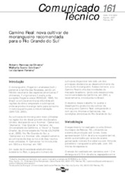Thumbnail de Camino Real: nova cultivar de morangueiro recomendada para o Rio Grande do Sul.