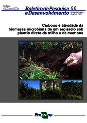 Thumbnail de Carbono e atividade da biomassa microbiana de um argissolo sob plantio direto de milho e de mamona.