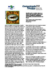 Thumbnail de Identificação de adultos ápteros e alados das principais espécies de afídeos (Hemiptera: Aphididae) associadas a cereais de inverno no Brasil.
