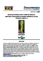Thumbnail de Estudos preliminares sobre o efeito da cafeína na duplicação cromossômica em plantas haplóides de cevada (Hordeum vulgare L.).