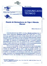 Thumbnail de Reação de germoplasma de trigo à mancha marrom.
