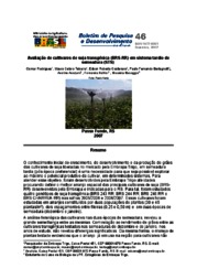 Thumbnail de Avaliação de cultivares de soja transgênica (BRS-RR) em sistema tardio de semeadura (STS).