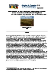 Thumbnail de BRS Guamirim em 2007: rendimento superior e boa sanidade, apesar da condição climática favorável à giberela.