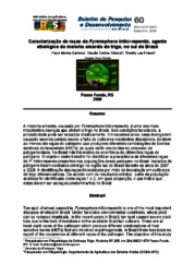 Thumbnail de Caracterização de raças de Pyrenophora tritici-repentis, agente etiológico da mancha amarela do trigo, no sul do Brasil.