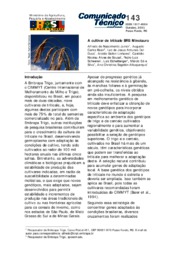 Thumbnail de A cultivar de triticale BRS Minotauro.