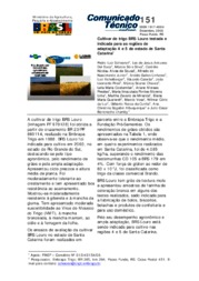 Thumbnail de Cultivar de trigo BRS Louro testada e indicada para as regiões de adaptação 4 e 5 do estado de Santa Catarina.