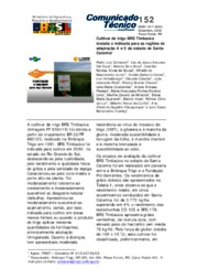 Thumbnail de Cultivar de trigo BRS Timbaúva testada e indicada para as regiões de adaptação 4 e 5 do estado de Santa Catarina.