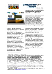 Thumbnail de Cultivar de trigo BRS Louro testada e indicada para as regiões de adaptação 7 e 8 do Paraná.