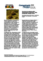 Thumbnail de Ocorrência do pulgão-do-milho Rhopalosiphum maidis (Fitch, 1856): identificação, biologia e danos.