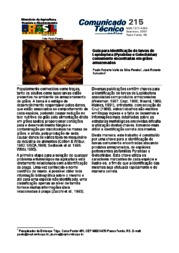 Thumbnail de Guia para identificação de larvas de Lepidoptera (Pyralidae e Gelechiidae) comumente encontradas em grãos armazenados.