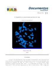 Thumbnail de A citogenética na caracterização genômica do trigo.