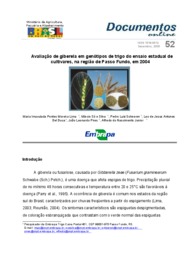 Thumbnail de Avaliação de giberela em genótipos de trigo do ensaio estadual de cultivares, na região de Passo Fundo, em 2004.
