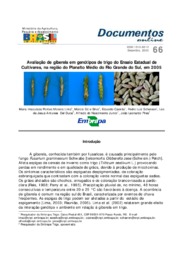 Thumbnail de Avaliação de giberela em genótipos de trigo do Ensaio Estadual de Cultivares, na região de Passo Fundo, em 2005.