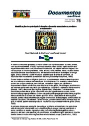Thumbnail de Identificação dos principais Coleoptera (Insecta) associados a produtos armazenados.