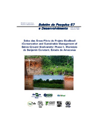 Thumbnail de Solos das áreas-piloto do Projeto BiosBrasil (Conservation and Sustainable Management of Below-Ground Biodiversity: phase I), Município de Benjamin Constant, Estado do Amazonas.