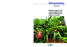 Thumbnail de Heliconia angusta Vell.: caracterização de uma planta ornamental para cultivo no Cerrado.