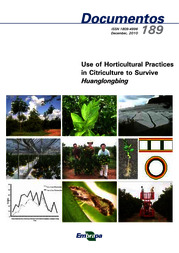 Thumbnail de Use of horticultural practices in citriculture to survive Huanglongbing.