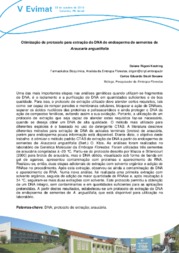 Thumbnail de Otimização de protocolo para extração do DNA de endosperma de sementes de Araucaria angustifolia.