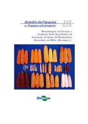 Thumbnail de Metodologias de extração e avaliação semi quantitativa da expressão de genes de metabolismo secundário do milho (Zea mays L.).