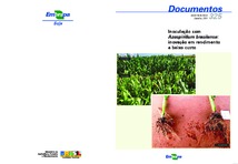 Thumbnail de Inoculação com Azospirillum brasilense: inovação em rendimento a baixo custo.