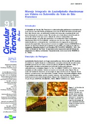 Thumbnail de Manejo integrado de Lasiodiplodia theobromae em videira no Submédio do Vale do São Francisco.