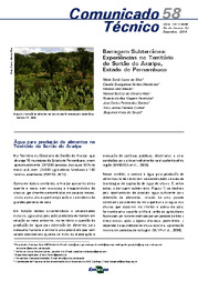 Thumbnail de Barragem subterrânea: experiências no território do Sertão do Araripe, Estado de Pernambuco.