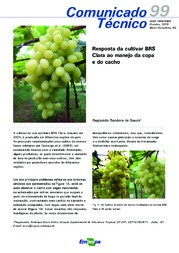 Thumbnail de Resposta da cultivar BRS Clara ao manejo da copa e do cacho.