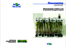Thumbnail de Micropropagação e cultivo in vitro de gramíneas forrageiras tropicais.